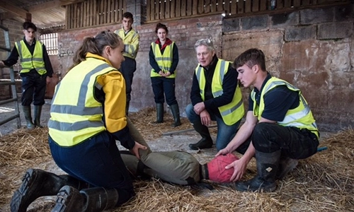 Yellow Wellies Foundation Eduction